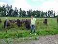 Bild (25)
